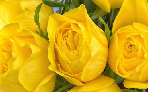 982076 (a): :2880x1800